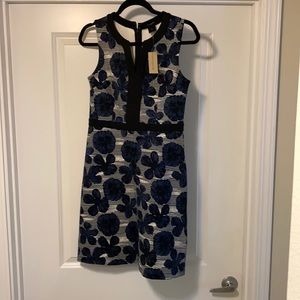 Ann Taylor Dress